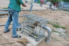 284875602_431204168534895_8869474290378995037_n