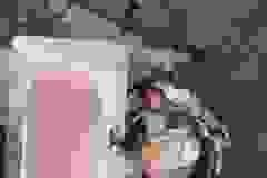 288172476_568619761501402_437594630099605591_n