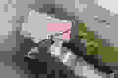 288650371_2121669521346959_4710258180788805956_n