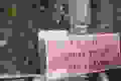 288907407_746811643172767_655491282140610221_n